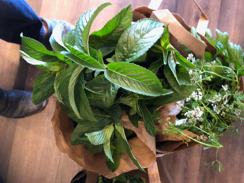 Mint and cilantro flowers ready for a cooking demonstration at the Spice Suite